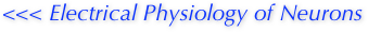<<< Electrical Physiology of Neurons