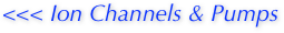 <<< Ion Channels & Pumps