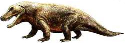 Erythrosuchus